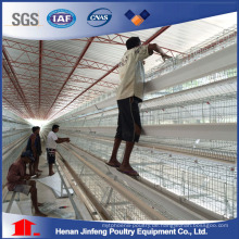 Heiße Qualitätsschicht-Huhn-Bauernhof-Geflügel-Ausrüstung von China